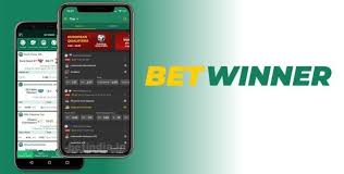 Comprehensive Guide to BetWinner Bookmaker Everything You Need to Know