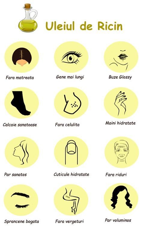 Bonengem crema pret, bonengem Bonengem crema pret, bonengem