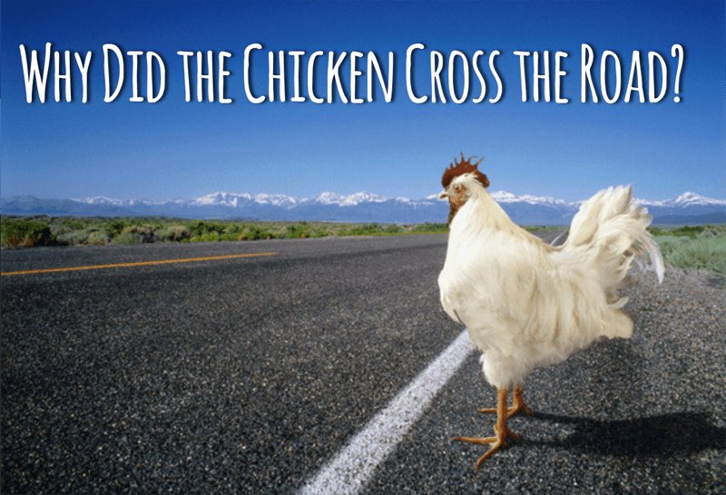 Chicken road game in Spain