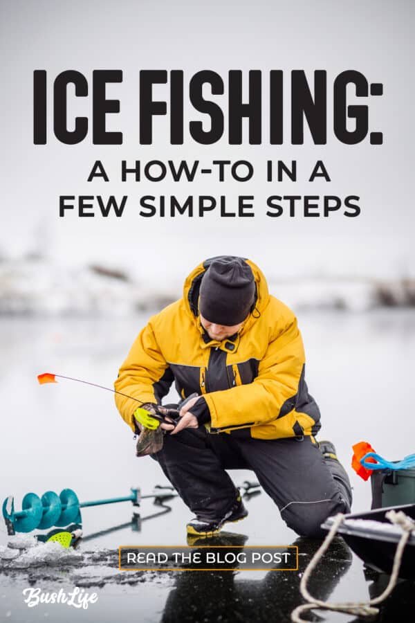 Discover ice fishing game