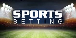 Apostas e Entretenimento Descubra o Betwinner