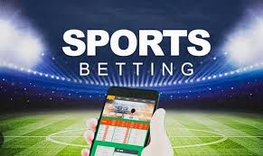 Apostas e Entretenimento Descubra o Betwinner