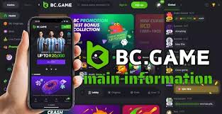 Understanding BC.Game Privacy Policy for African Users