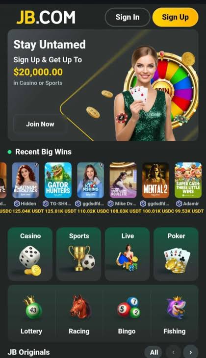 Discover the Thrills of JB Casino Platform