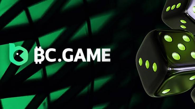 Understanding the BC.Game Login Process 941708224 Understanding the BC.Game Login Process 941708224